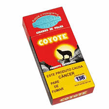 images (1) COYOTE